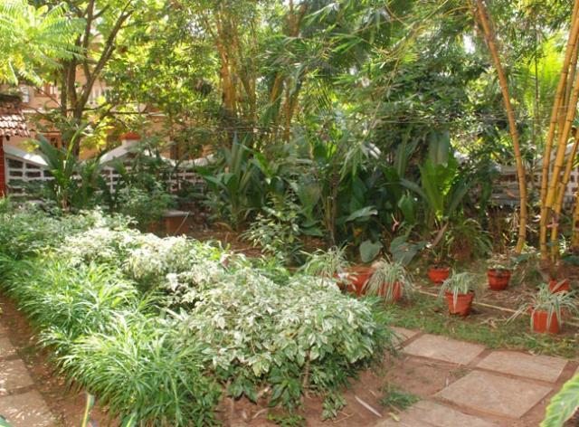 Pinto Guest House Candolim Exterior foto